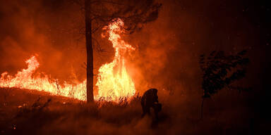 Waldbrände Portugal
