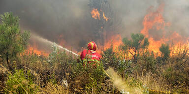Waldbrände Portugal