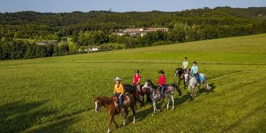 Familienurlaub im Hausruckwald - Aldiana Club Ampflwang