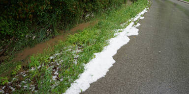 DSC05758.jpg