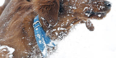 Schnee_APA12.jpg