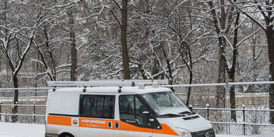 Schnee_Kronsteiner.jpg