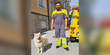 Pannenfahrer rettete Hund aus versperrtem Hitze-Auto
