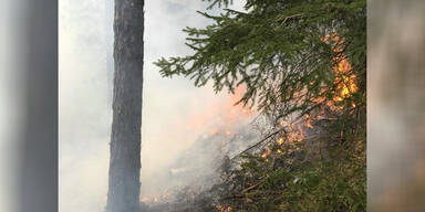 Lilienfeld Waldbrand