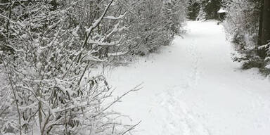 Wintereinbruch in Tirol 