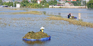 Vietnam Überschwemmungen