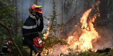 Waldbrände: Tausende vor Feuer gerettet
