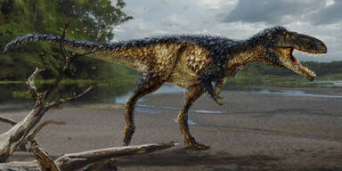 dinosaurier66.jpg