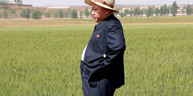 Nordkoreas Diktator Kim Jong-un beim Besuch einer Farm