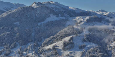 kitz1.jpg