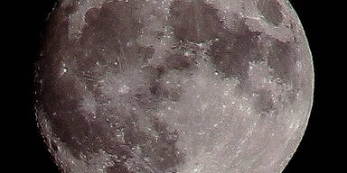 Foto: Hermann Prasch 