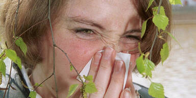 pollen_ap.jpg