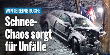 schnee-chaos_wetterAT_relaunch.jpg