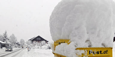 schnee1a.jpg