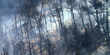 waldbrand_epa.jpg