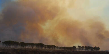 Waldbrand Italien