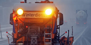 wdienst62.jpg